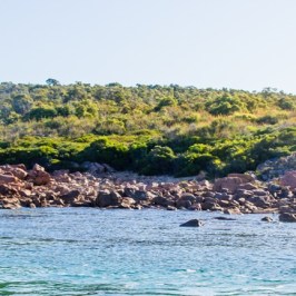 A look at the rocks in Dunsborough