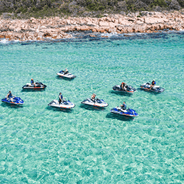 a group of people swimming in a body of water