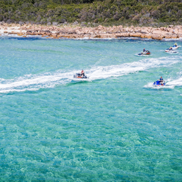 a group of people swimming in a body of water